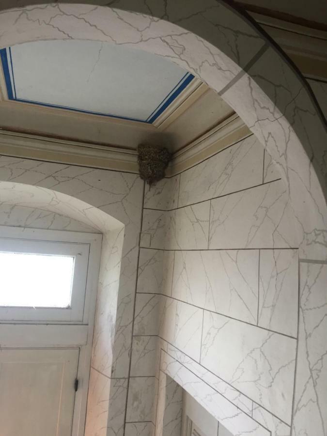 Villa Eugenia 리보르노 외부 사진